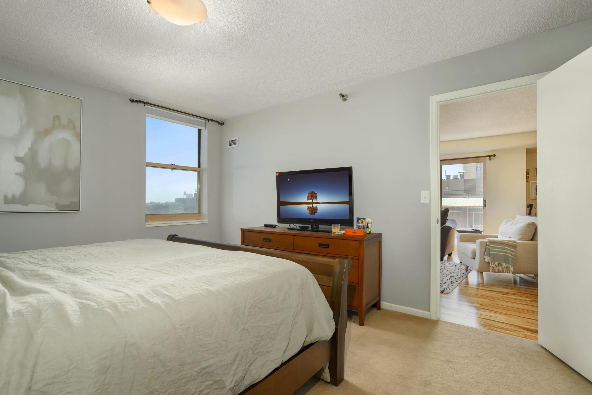 401 South 1st Street, Unit 902 Minneapolis, MN 55401 - Photo 10 of 42