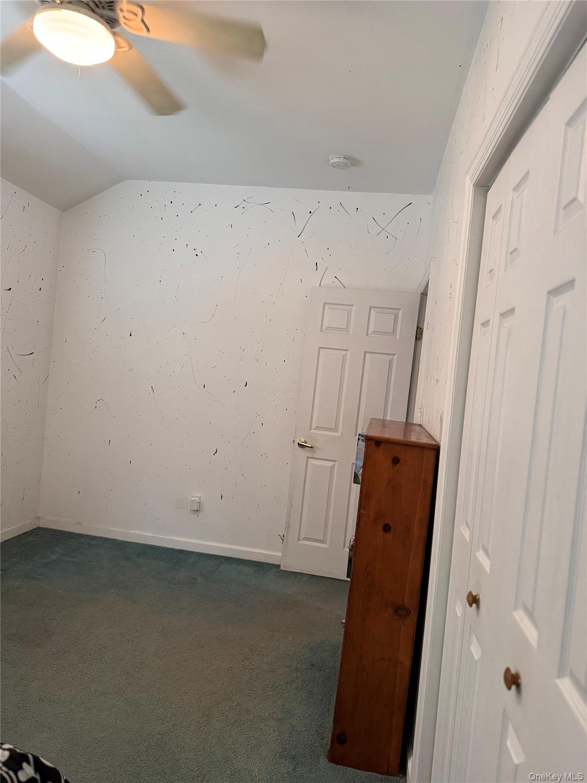 55 Lester Avenue Freeport, NY 11520 - Photo 28 of 38 a view of walk in closet