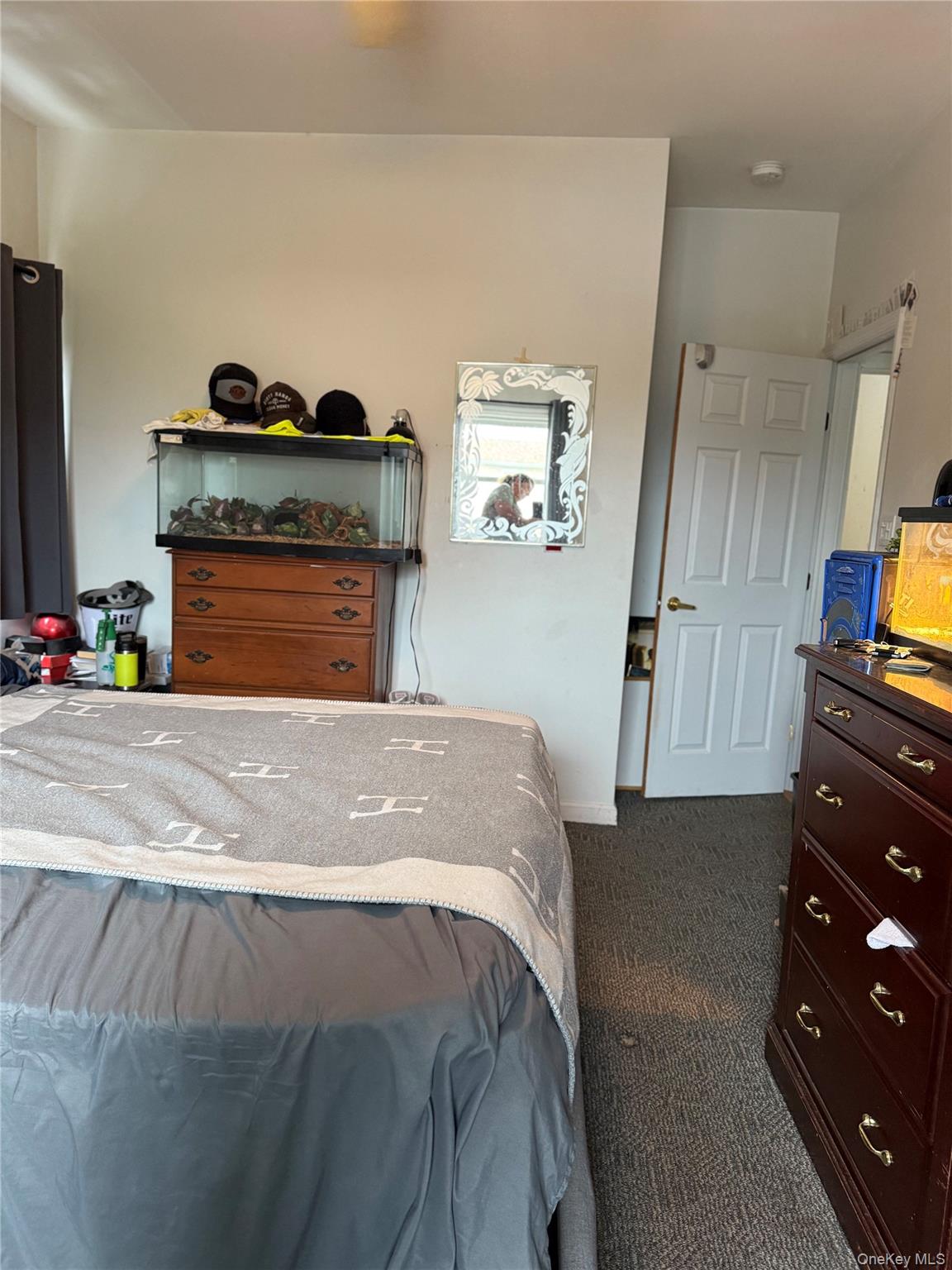 55 Lester Avenue Freeport, NY 11520 - Photo 30 of 38 a bedroom with a bed and dresser with mirror