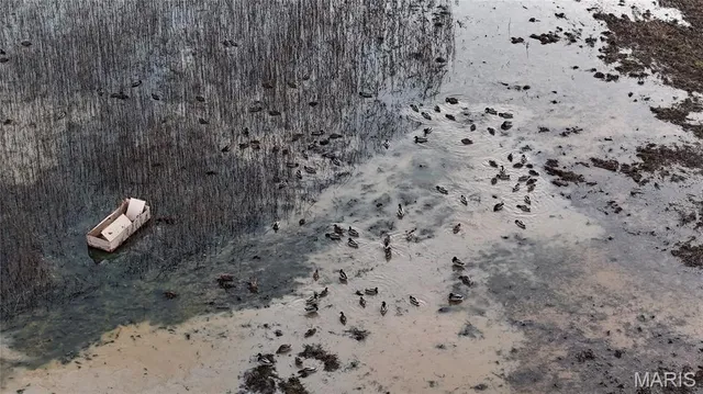 $1 | 22993 County Road 291, Puxico, MO 63960