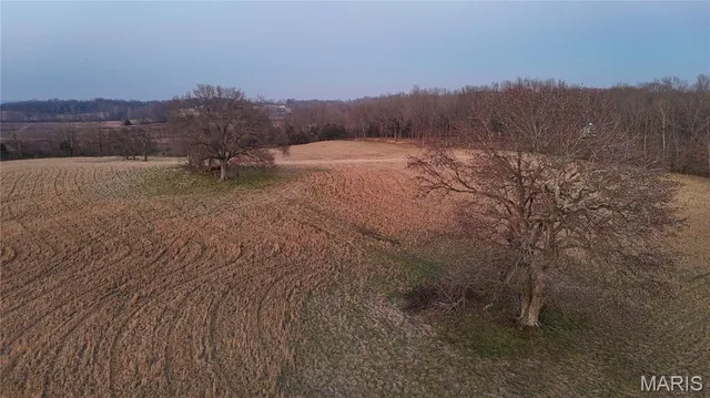 $1 | 22993 County Road 291, Puxico, MO 63960