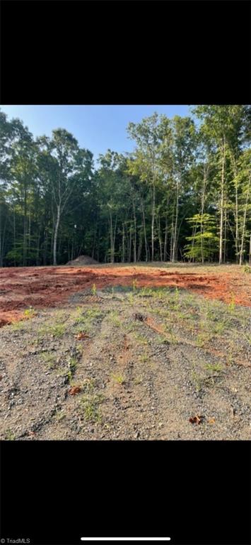 395 Roach Road Reidsville, NC 27320 - Photo 3 of 3 Gallery Image 3