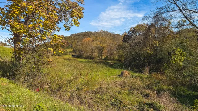 $309,000 | 1619 Lynn Flanary Road, Blackwater, VA 24221