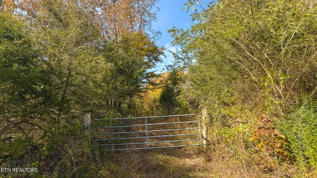 $309,000 | 1619 Lynn Flanary Road, Blackwater, VA 24221