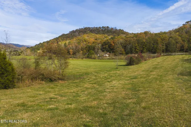 $309,000 | 1619 Lynn Flanary Road, Blackwater, VA 24221