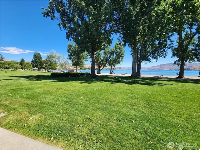 a view of a yard with a large trees