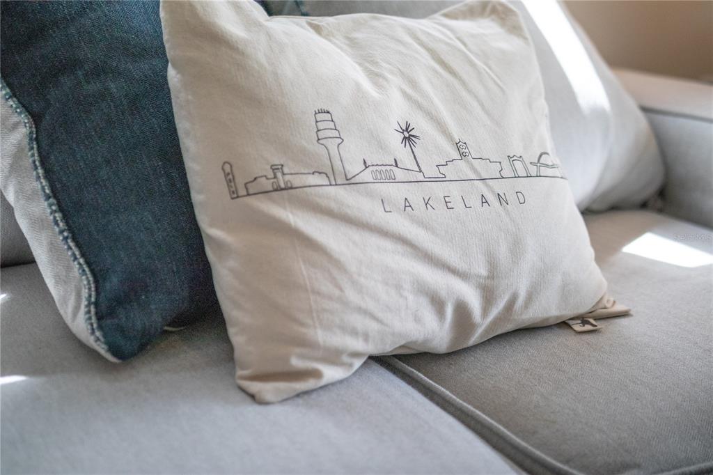 123 Oconee Street Lakeland, FL 33805 - Photo 16 of 25 a close view of cabinet