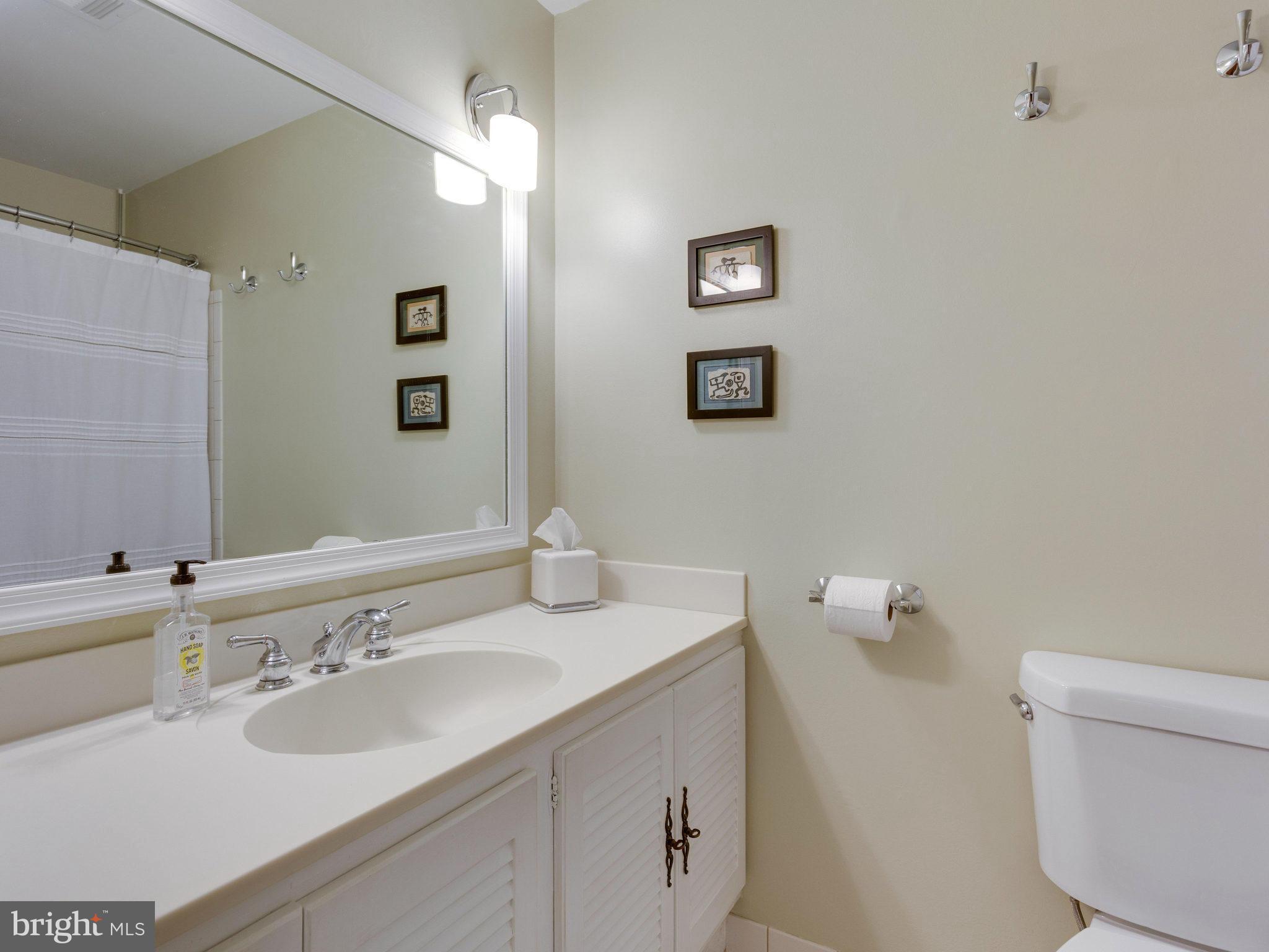 11421 Vale Road Oakton, VA 22124 - Photo 15 of 25 Bath (Master)