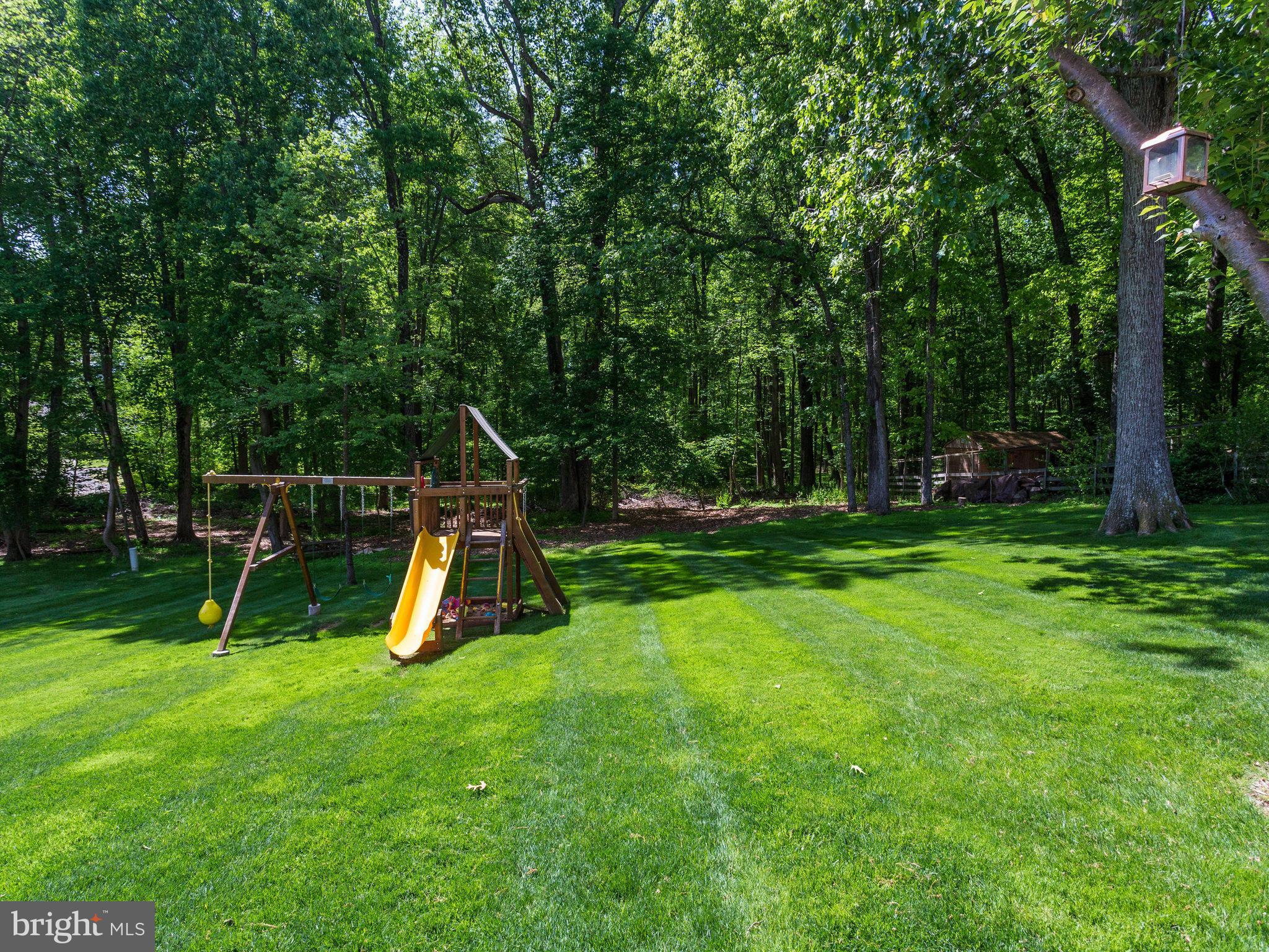 11421 Vale Road Oakton, VA 22124 - Photo 17 of 25 Spacious Level Backyard with Playset
