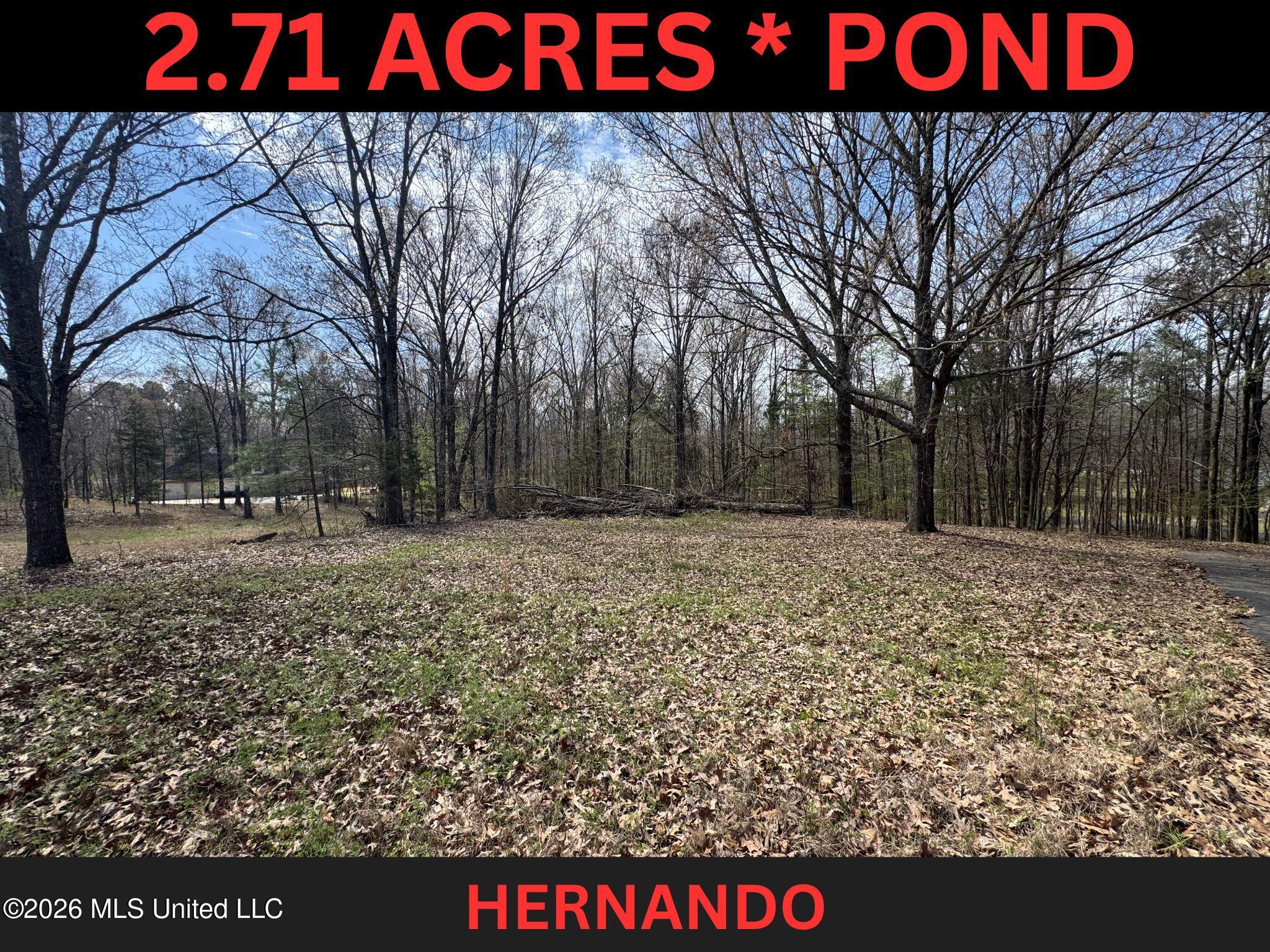 2.71 ACRES WITH POND IN HERNANDO