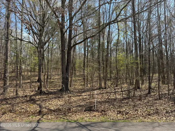 $130,000 | 0 Steele Road, Hernando, MS 38632