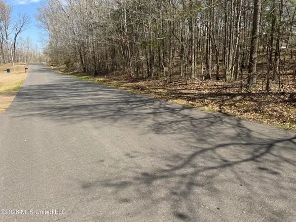 $130,000 | 0 Steele Road, Hernando, MS 38632