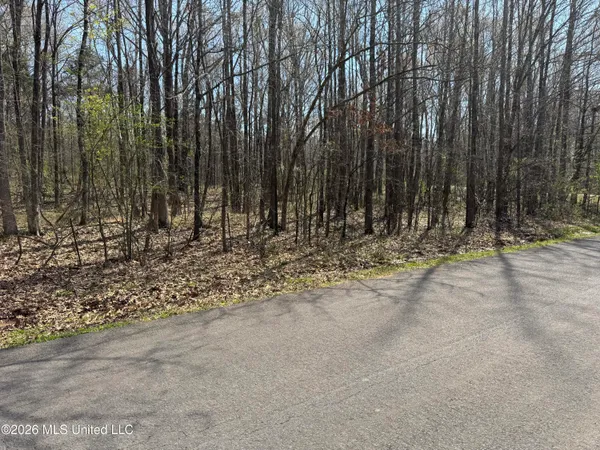 $130,000 | 0 Steele Road, Hernando, MS 38632