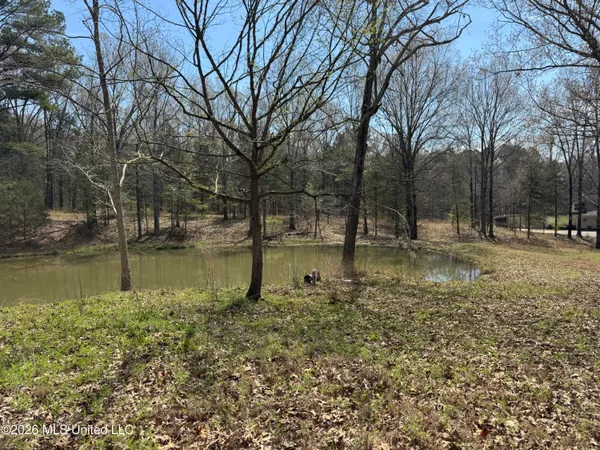 $130,000 | 0 Steele Road, Hernando, MS 38632