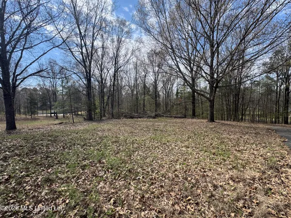 $130,000 | 0 Steele Road, Hernando, MS 38632