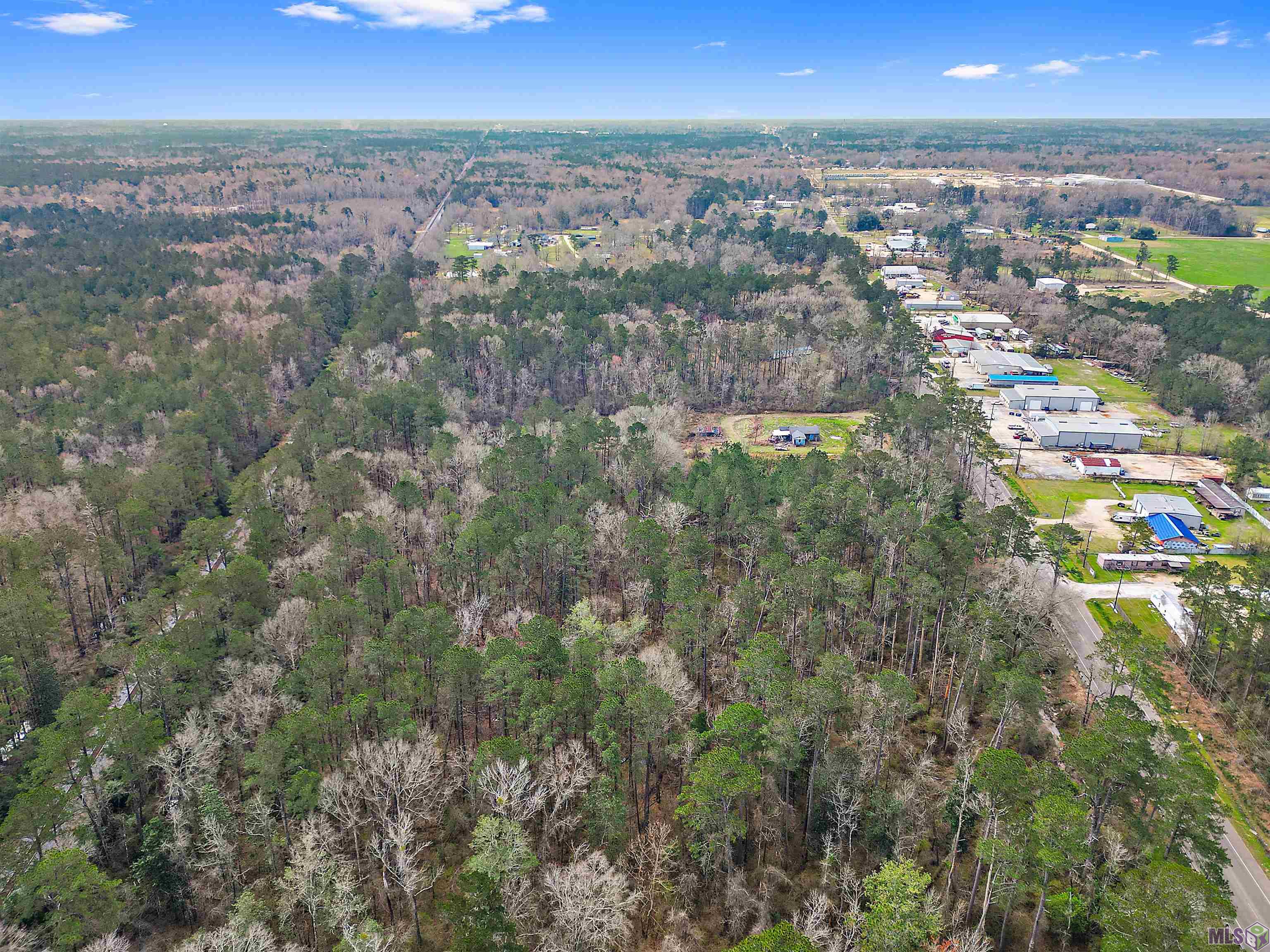 51 U.S. Highway 51 Tickfaw, LA 70466 - Photo 3 of 5