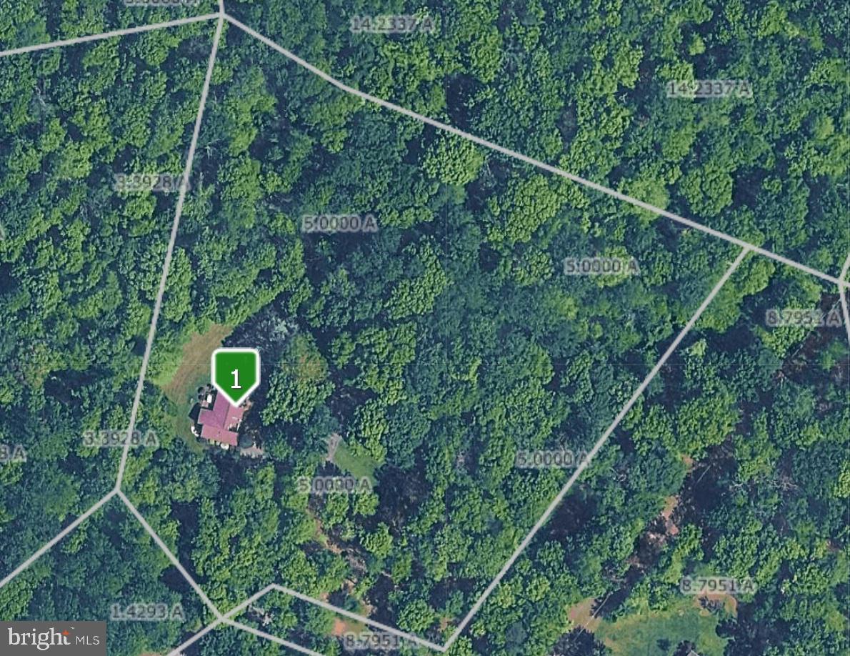 6067 Pilgrims Rest Road Broad Run, VA 20137 - Photo 5 of 58 Secluded retreat amidst lush greenery.