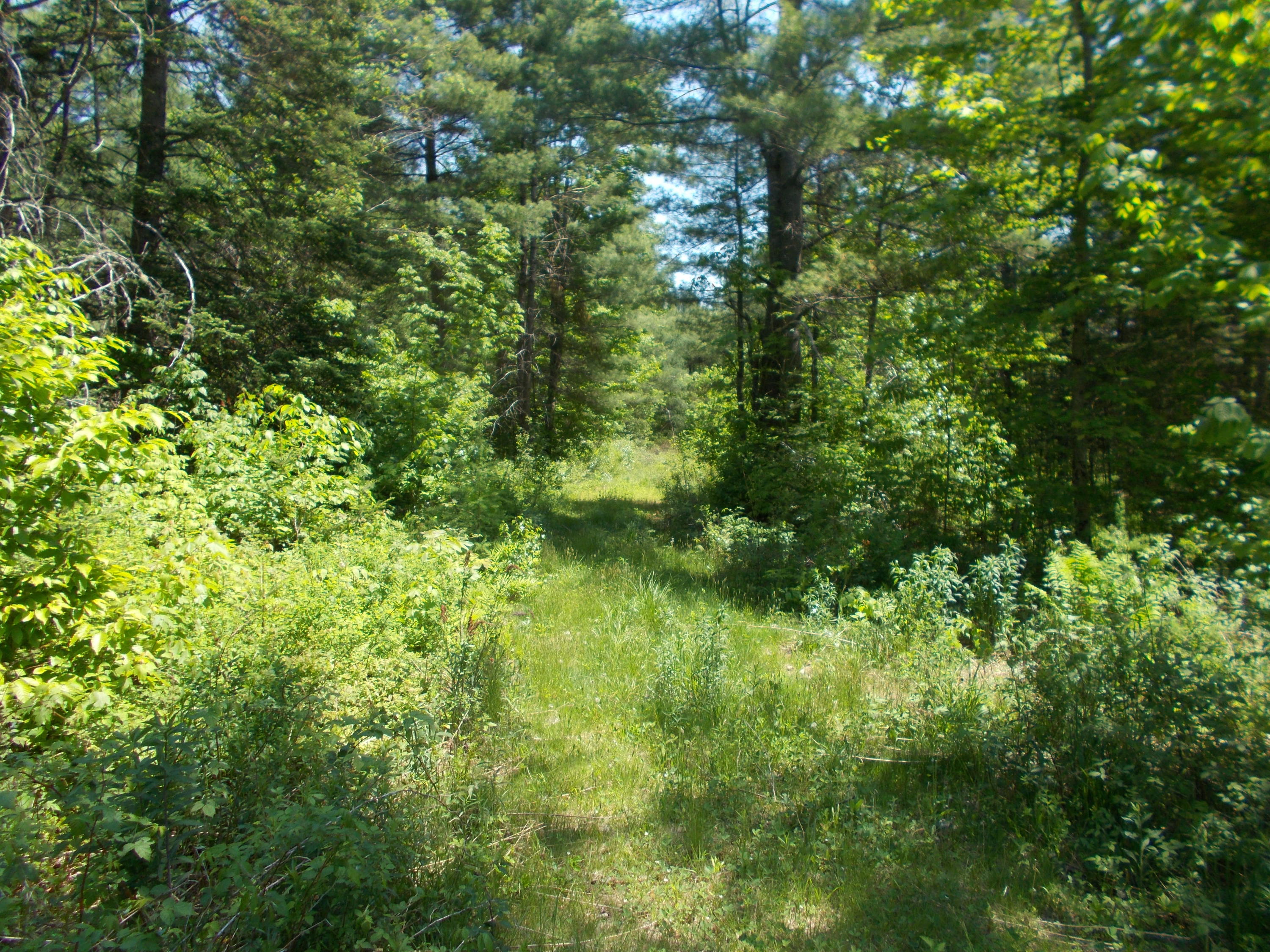 22 Pond Road Athens, ME 04912 - Photo 2 of 6 DSCN1247