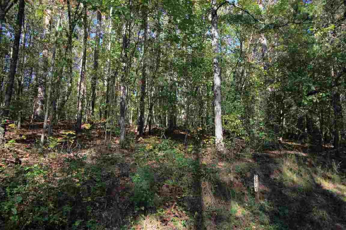 371 Austin Edwards Road Walhalla, SC 29691 - Photo 11 of 31 Gallery Image 11