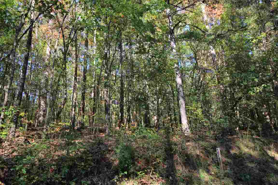 371 Austin Edwards Road Walhalla, SC 29691 - Photo 12 of 31 Gallery Image 12