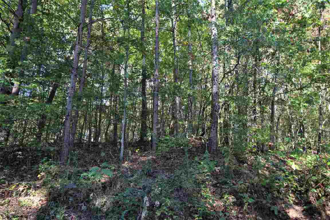 371 Austin Edwards Road Walhalla, SC 29691 - Photo 14 of 31 Gallery Image 14