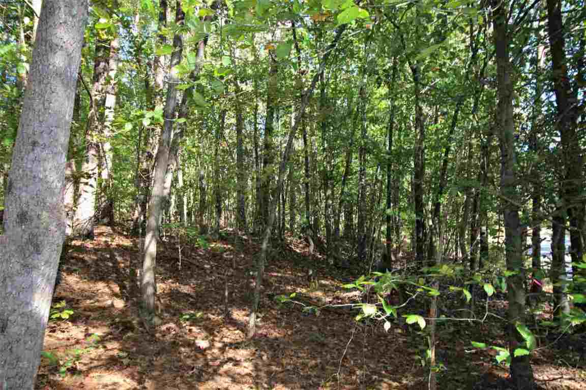 371 Austin Edwards Road Walhalla, SC 29691 - Photo 15 of 31 Gallery Image 15
