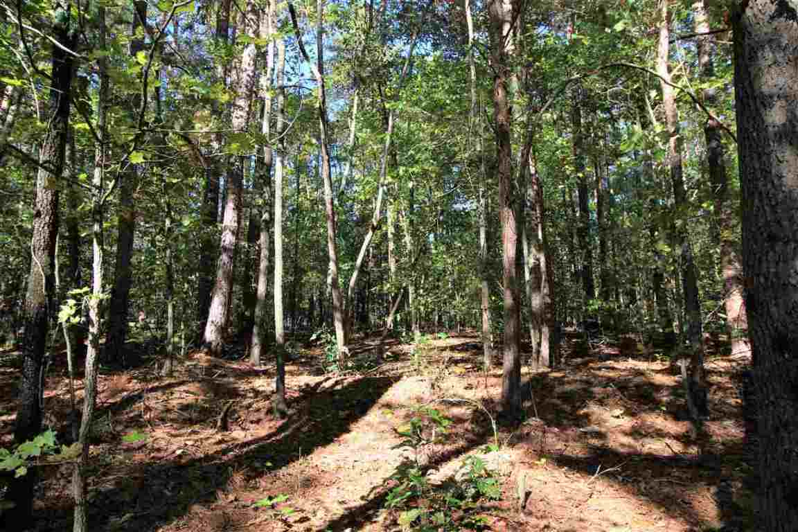 371 Austin Edwards Road Walhalla, SC 29691 - Photo 16 of 31 Gallery Image 16