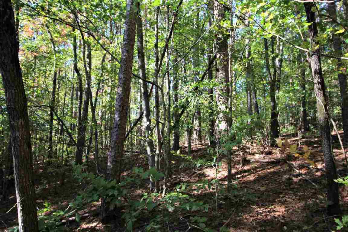 371 Austin Edwards Road Walhalla, SC 29691 - Photo 17 of 31 Gallery Image 17