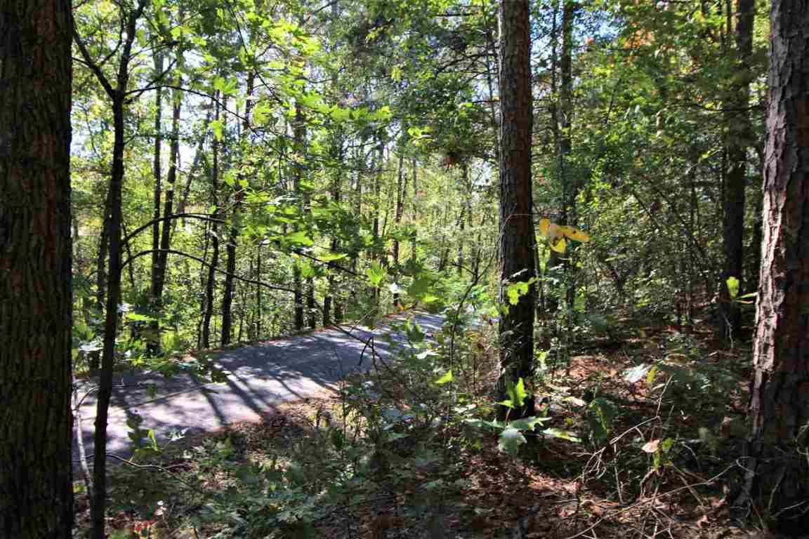 371 Austin Edwards Road Walhalla, SC 29691 - Photo 19 of 31 Gallery Image 19