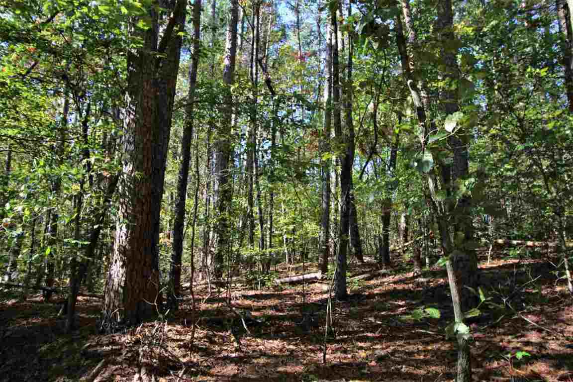 371 Austin Edwards Road Walhalla, SC 29691 - Photo 20 of 31 Gallery Image 20