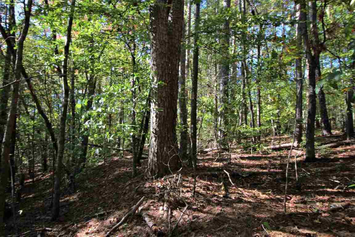 371 Austin Edwards Road Walhalla, SC 29691 - Photo 21 of 31 Gallery Image 21