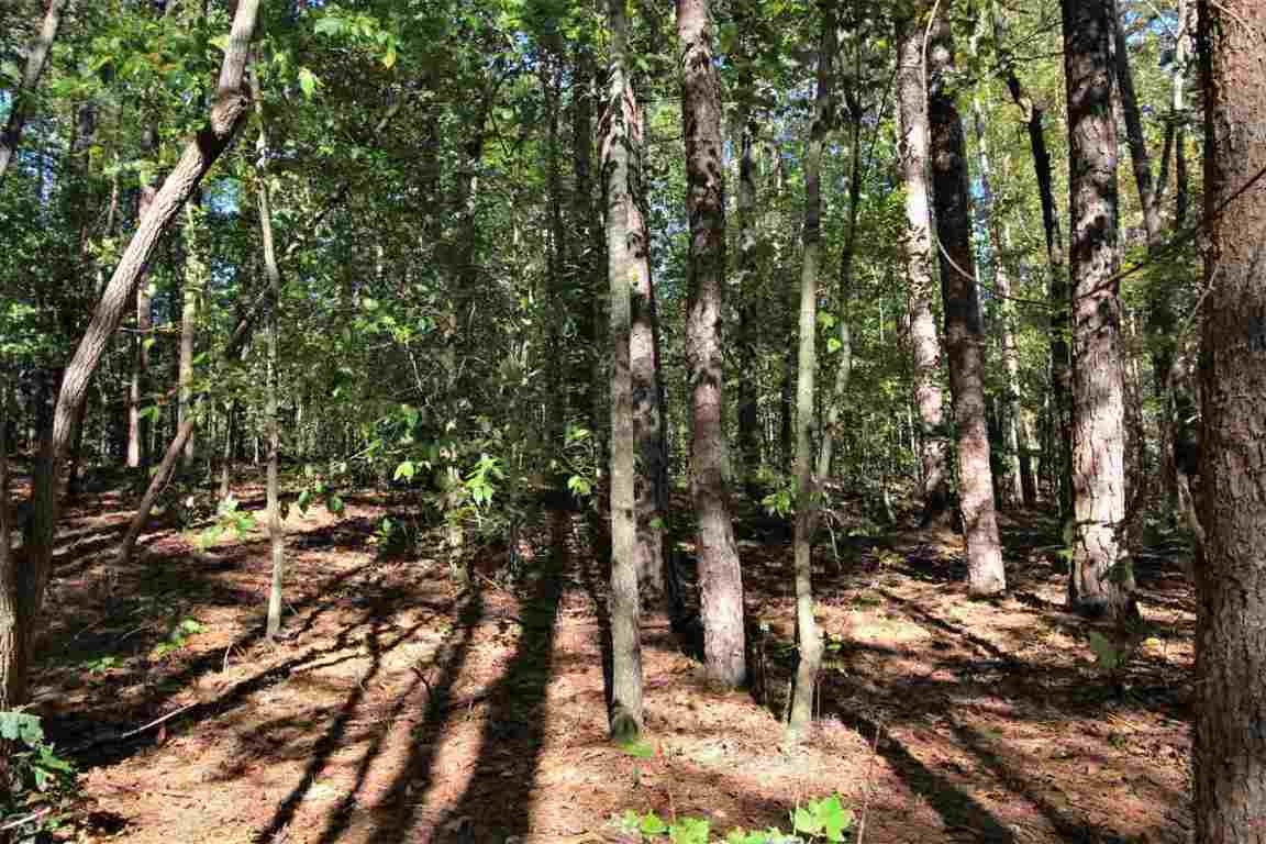 371 Austin Edwards Road Walhalla, SC 29691 - Photo 22 of 31 Gallery Image 22