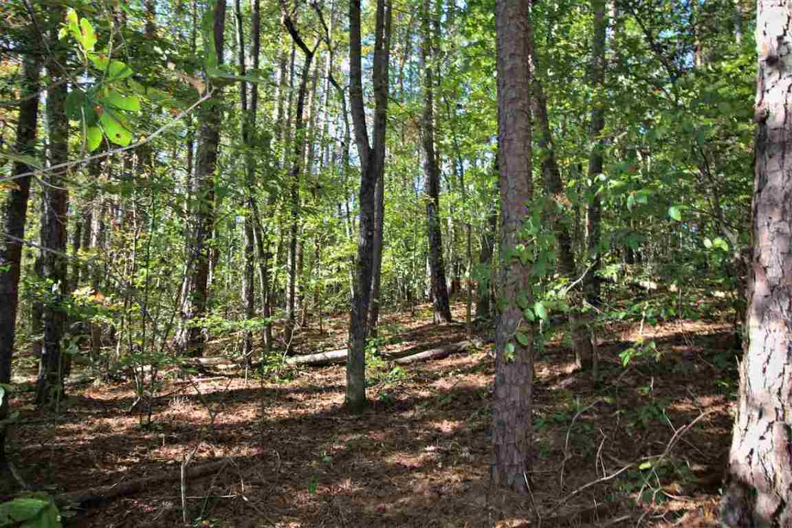371 Austin Edwards Road Walhalla, SC 29691 - Photo 23 of 31 Gallery Image 23