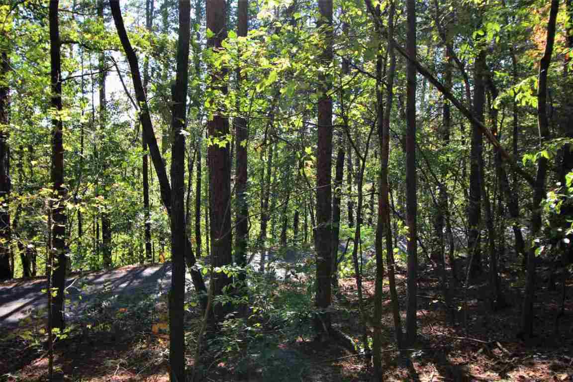 371 Austin Edwards Road Walhalla, SC 29691 - Photo 24 of 31 Gallery Image 24