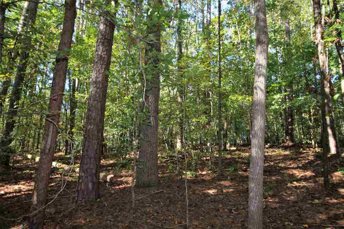 371 Austin Edwards Road Walhalla, SC 29691 - Photo 25 of 31 Gallery Image 25