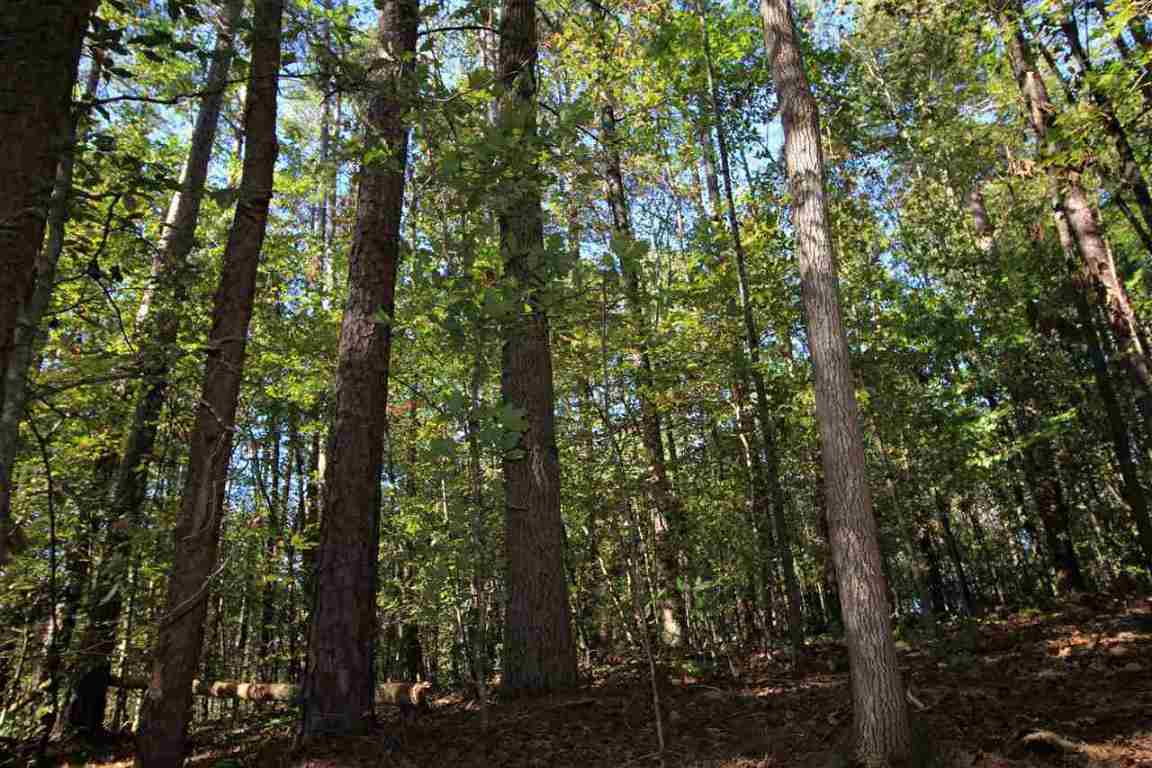 371 Austin Edwards Road Walhalla, SC 29691 - Photo 26 of 31 Gallery Image 26
