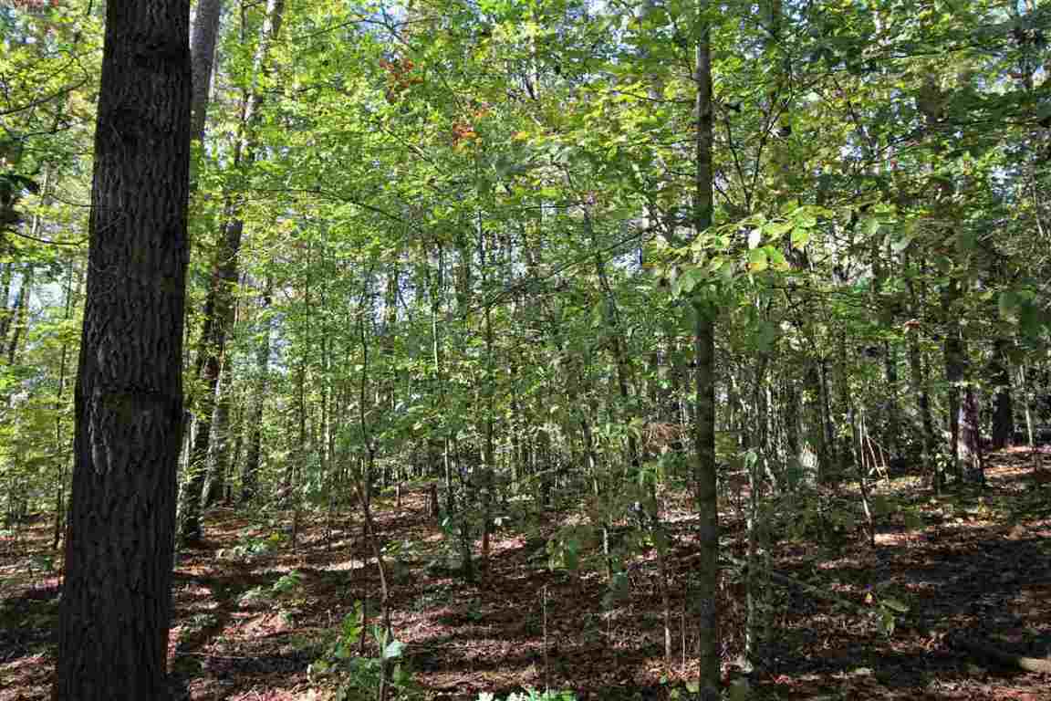 371 Austin Edwards Road Walhalla, SC 29691 - Photo 27 of 31 Gallery Image 27
