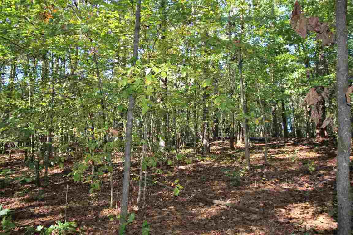 371 Austin Edwards Road Walhalla, SC 29691 - Photo 28 of 31 Gallery Image 28