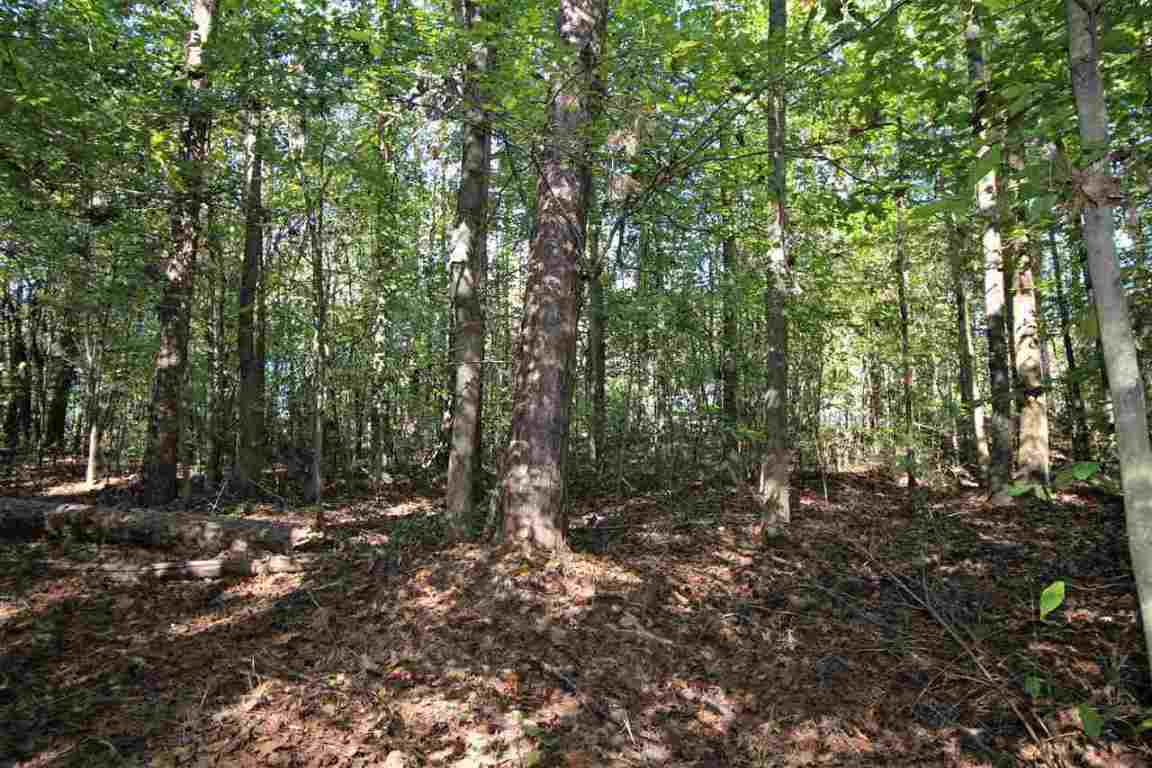 371 Austin Edwards Road Walhalla, SC 29691 - Photo 30 of 31 Gallery Image 30