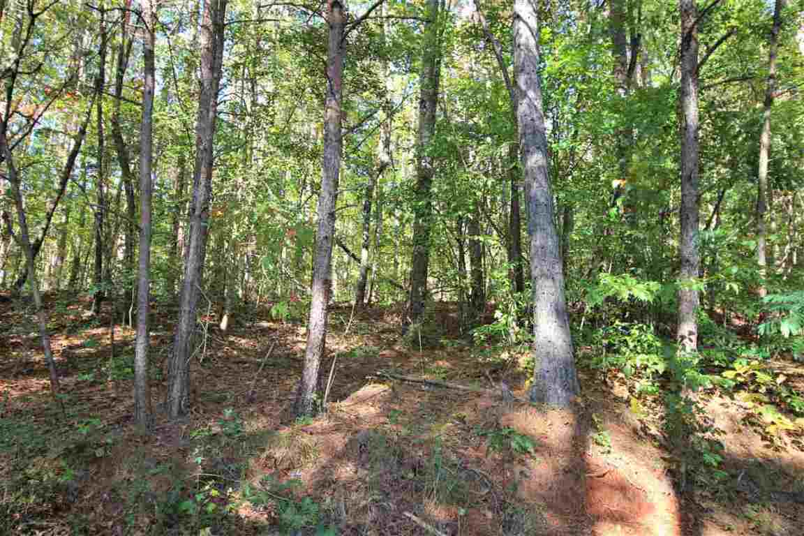 371 Austin Edwards Road Walhalla, SC 29691 - Photo 8 of 31 Gallery Image 8