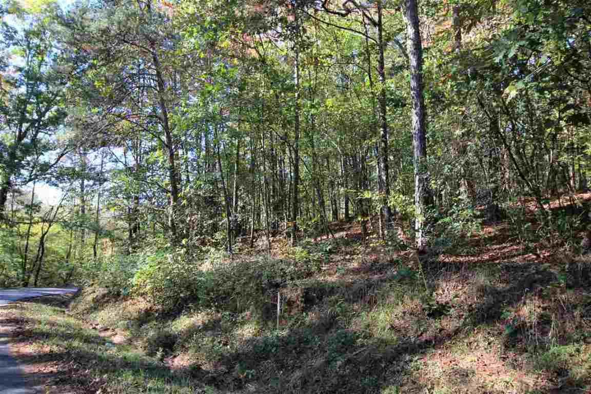 371 Austin Edwards Road Walhalla, SC 29691 - Photo 9 of 31 Gallery Image 9