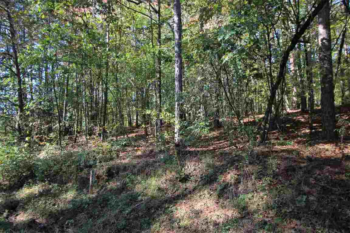 371 Austin Edwards Road Walhalla, SC 29691 - Photo 10 of 31 Gallery Image 10