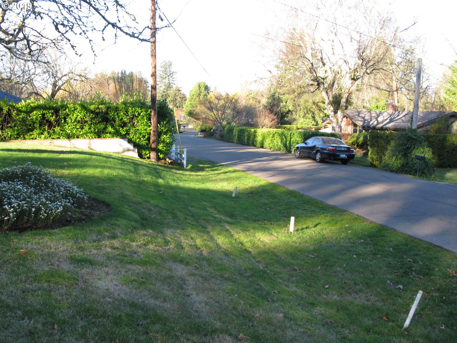 8880 Southwest Rambler Lane Portland, OR 97223 - Photo 12 of 12 Front Yard