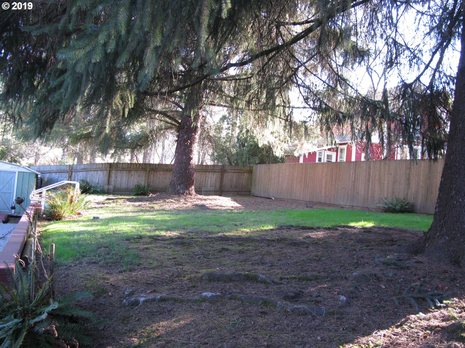 Backyard
