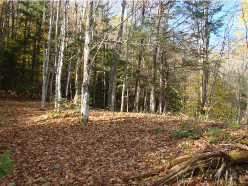 86 Holbrook Road Whitingham, VT 05342 - Photo 12 of 12
