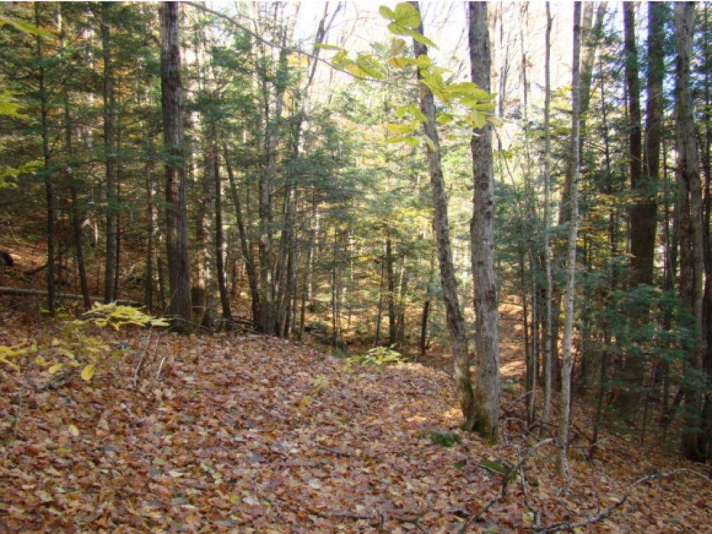 86 Holbrook Road Whitingham, VT 05342 - Photo 10 of 12