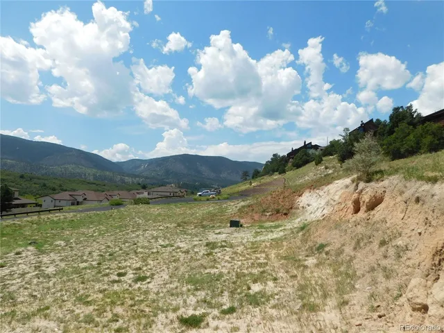 a view of a backyard with plants and patio