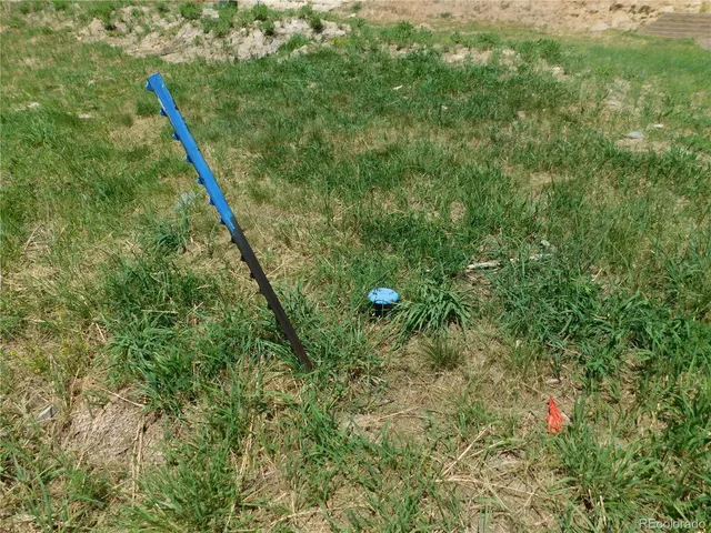 a view of a big yard with plants and a lake view