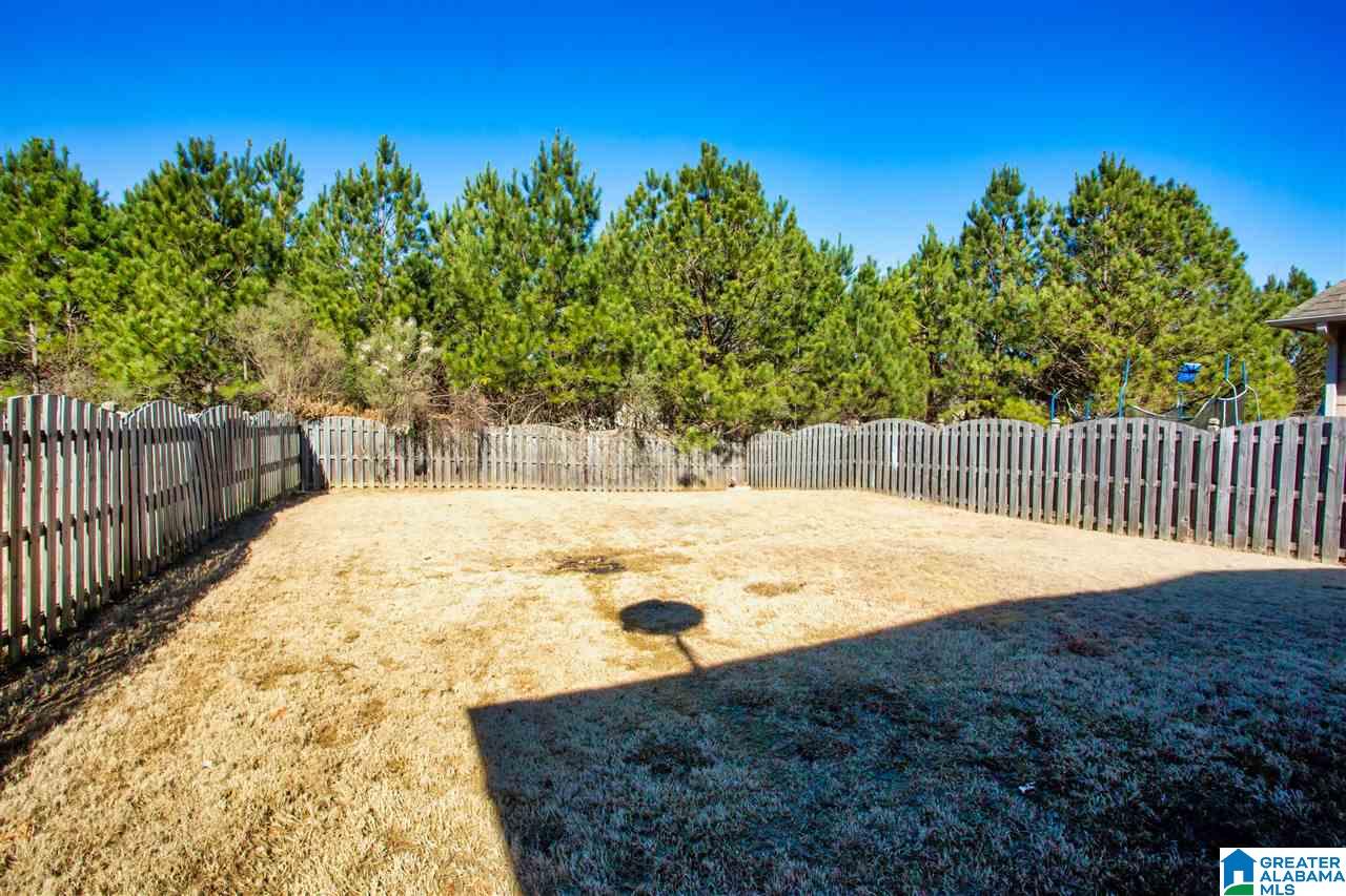 1077 Springfield Drive Chelsea, AL 35043 - Photo 41 of 44