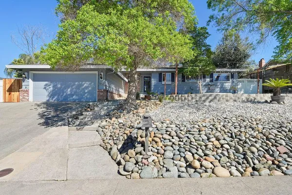 front view of a house with a large tree